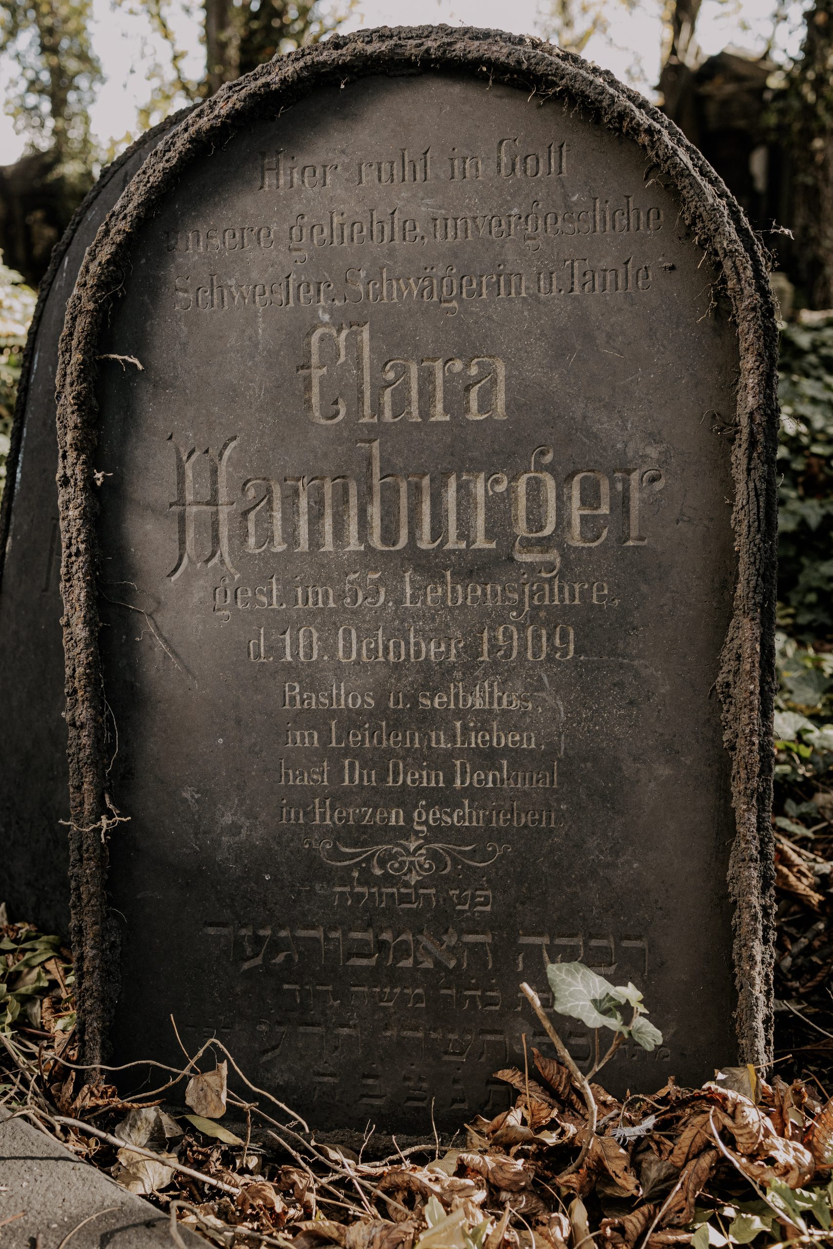 Clara Hamburger