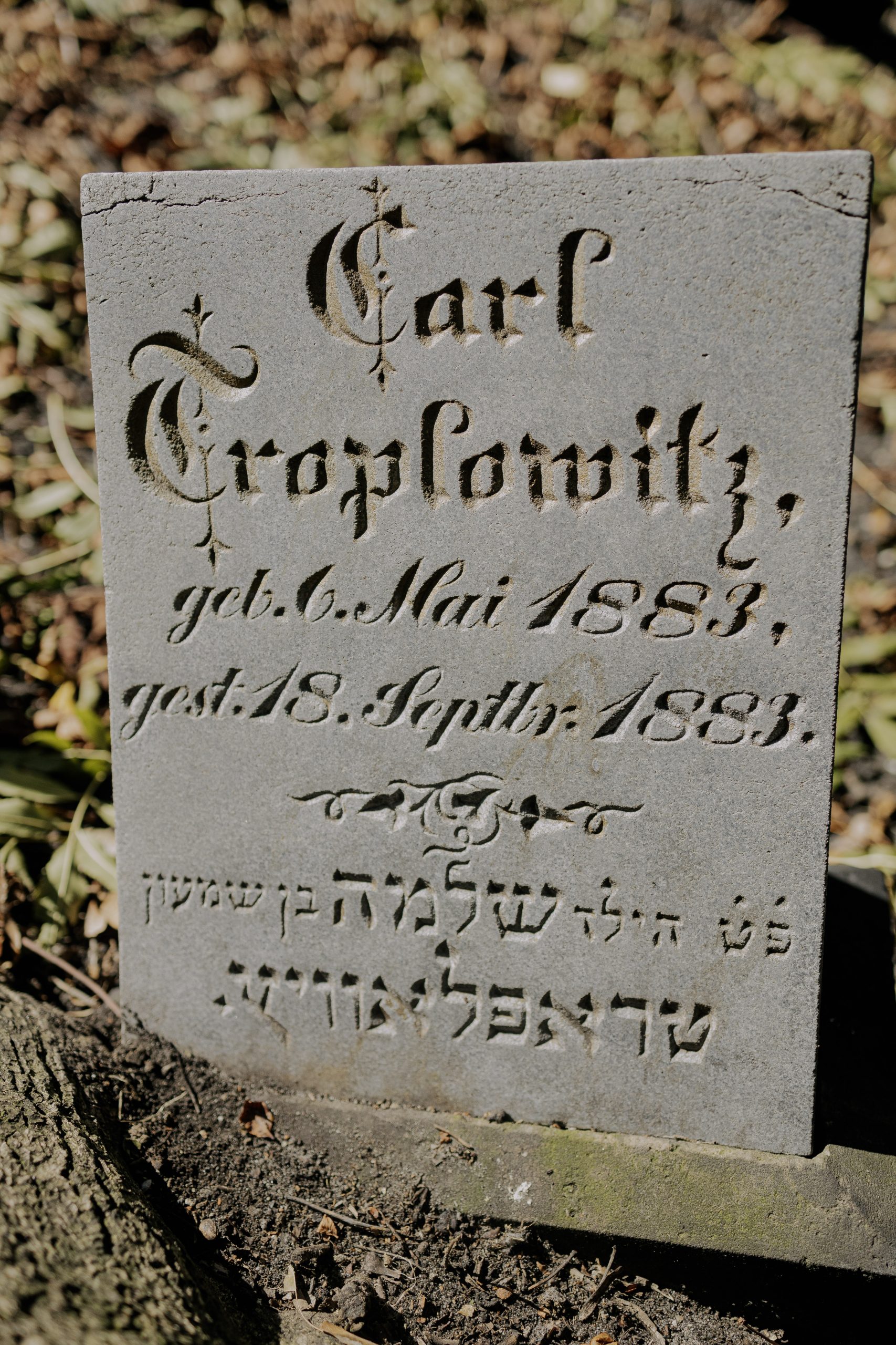 Carl Troplowitz