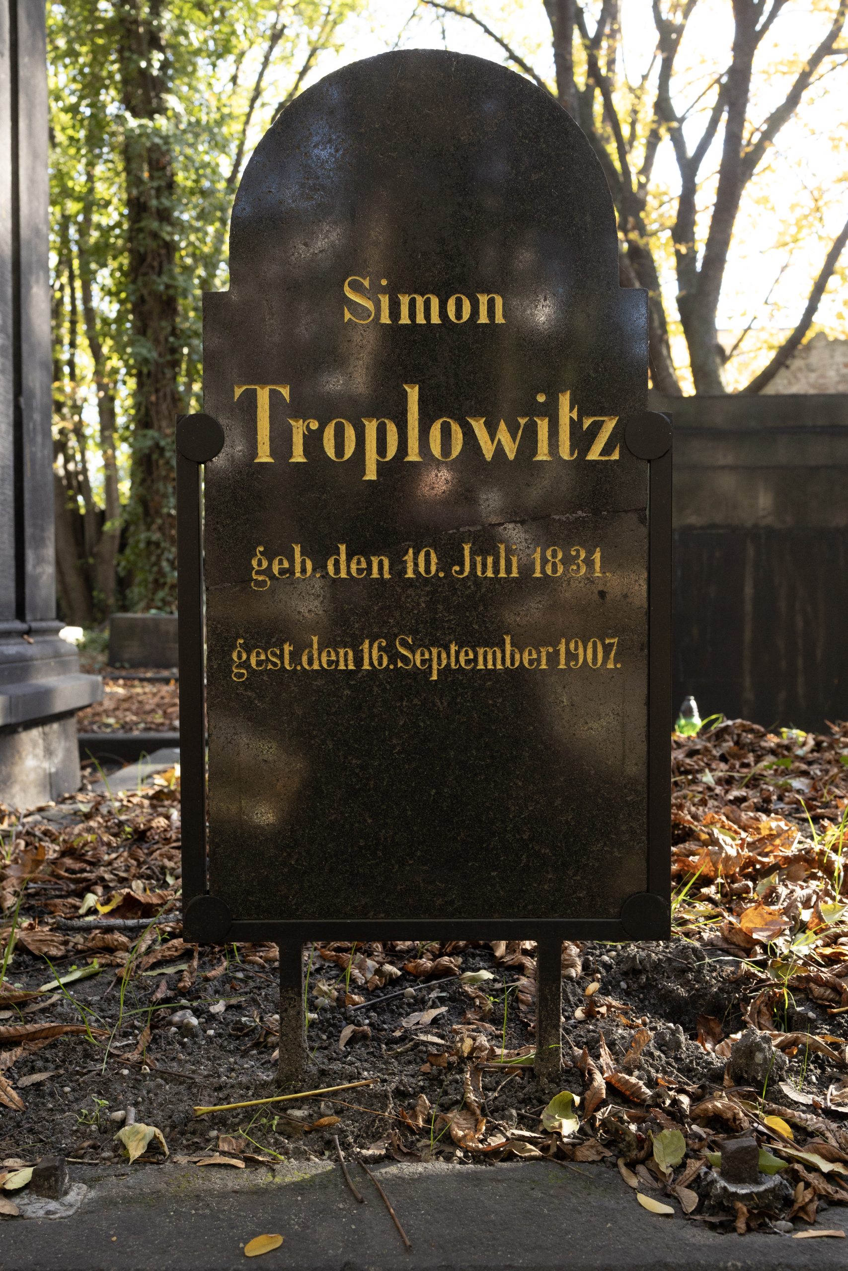 Simon Troplowitz