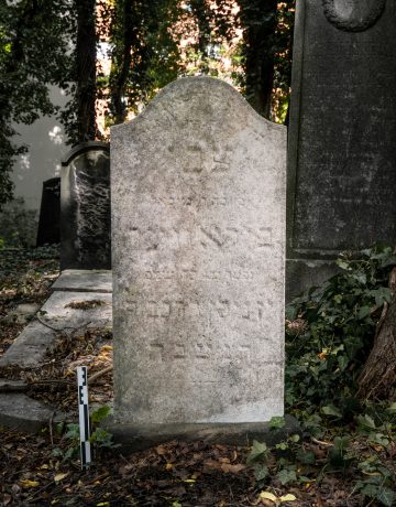 Heinrich Birawer