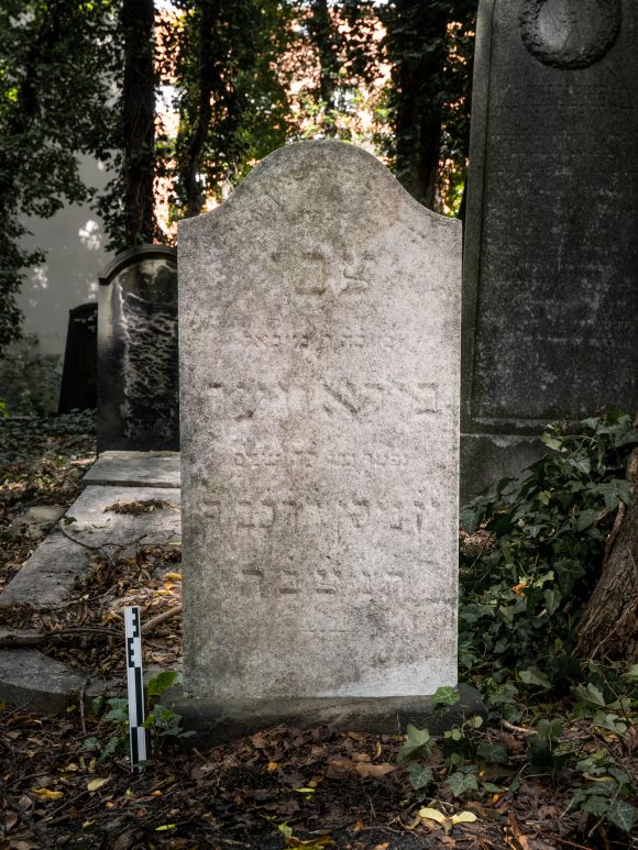Heinrich Birawer