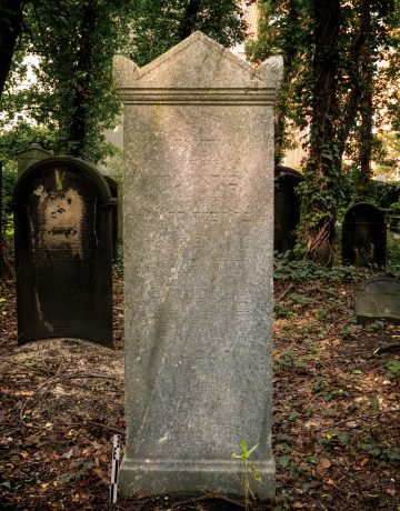 Michael Birawer