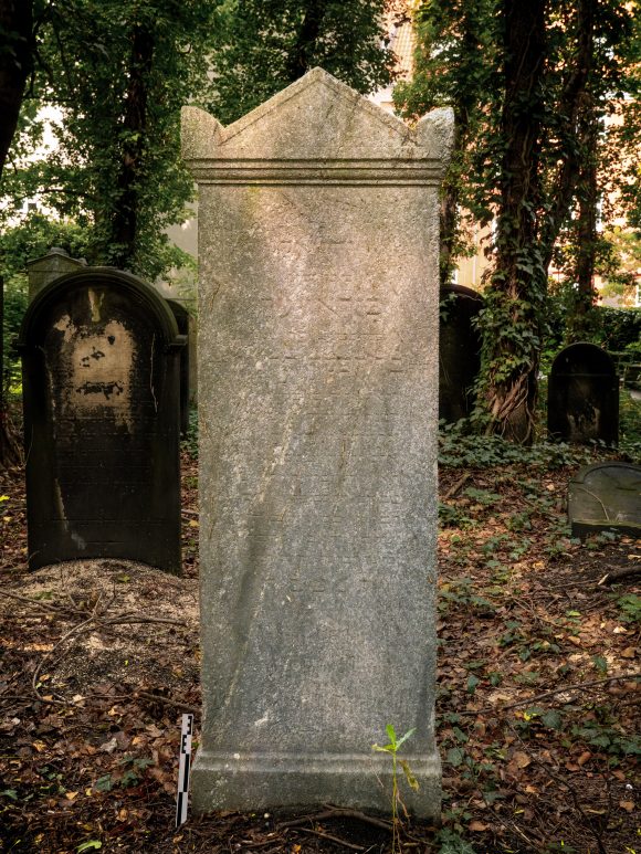 Michael Birawer