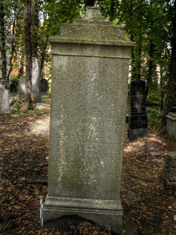 Adele Blumenreich