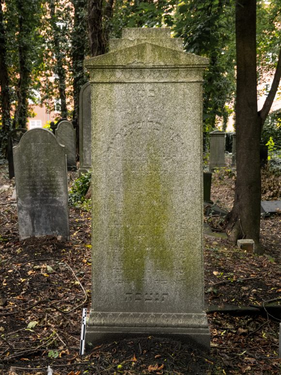Josef Blumenreich