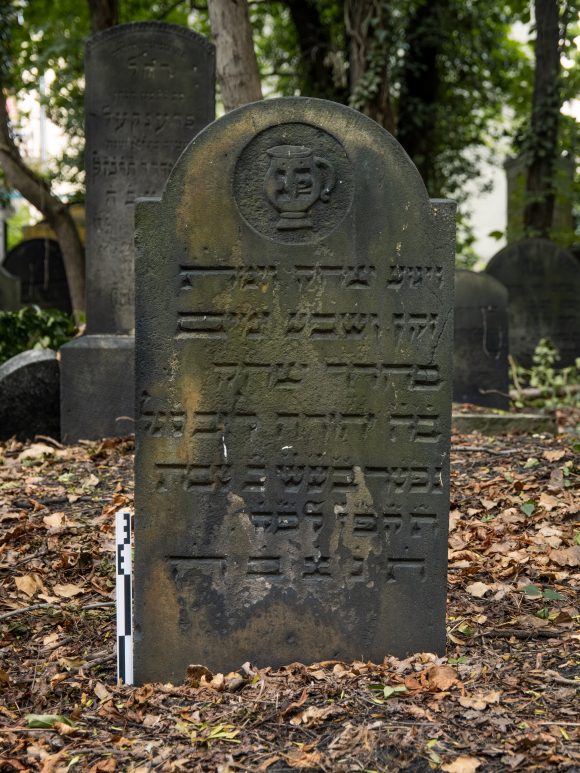 Jacob Bujakowsky