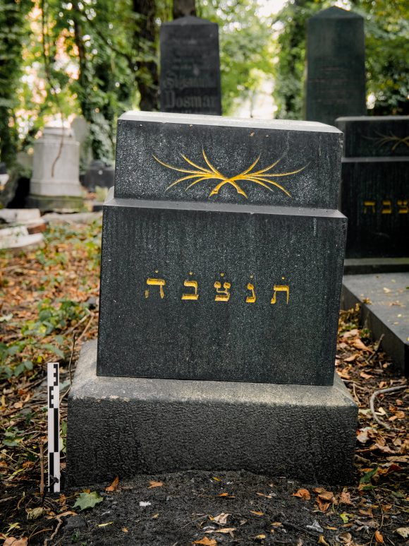 Josef Glogauer