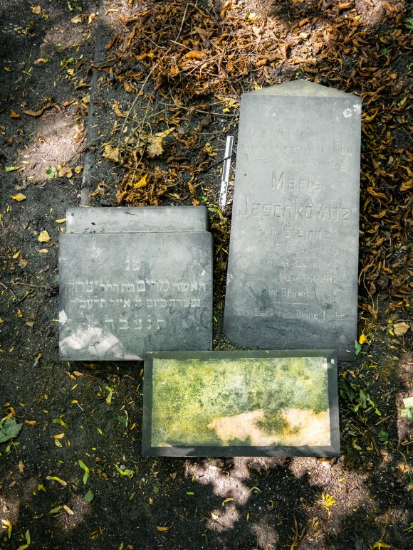 Marie Jaschkowitz