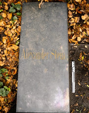 Alexander Stein