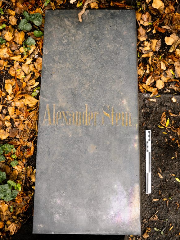 Alexander Stein