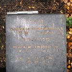 Alexander Stein