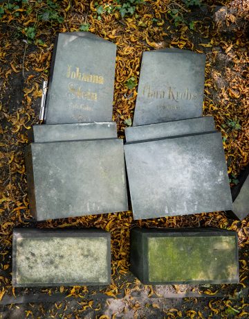 Johanna Stein