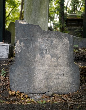 Samuel Stein