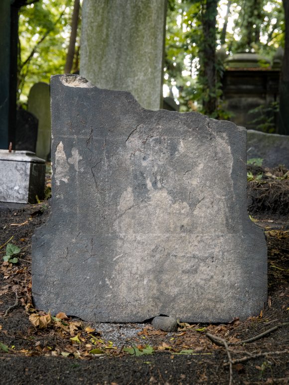 Samuel Stein